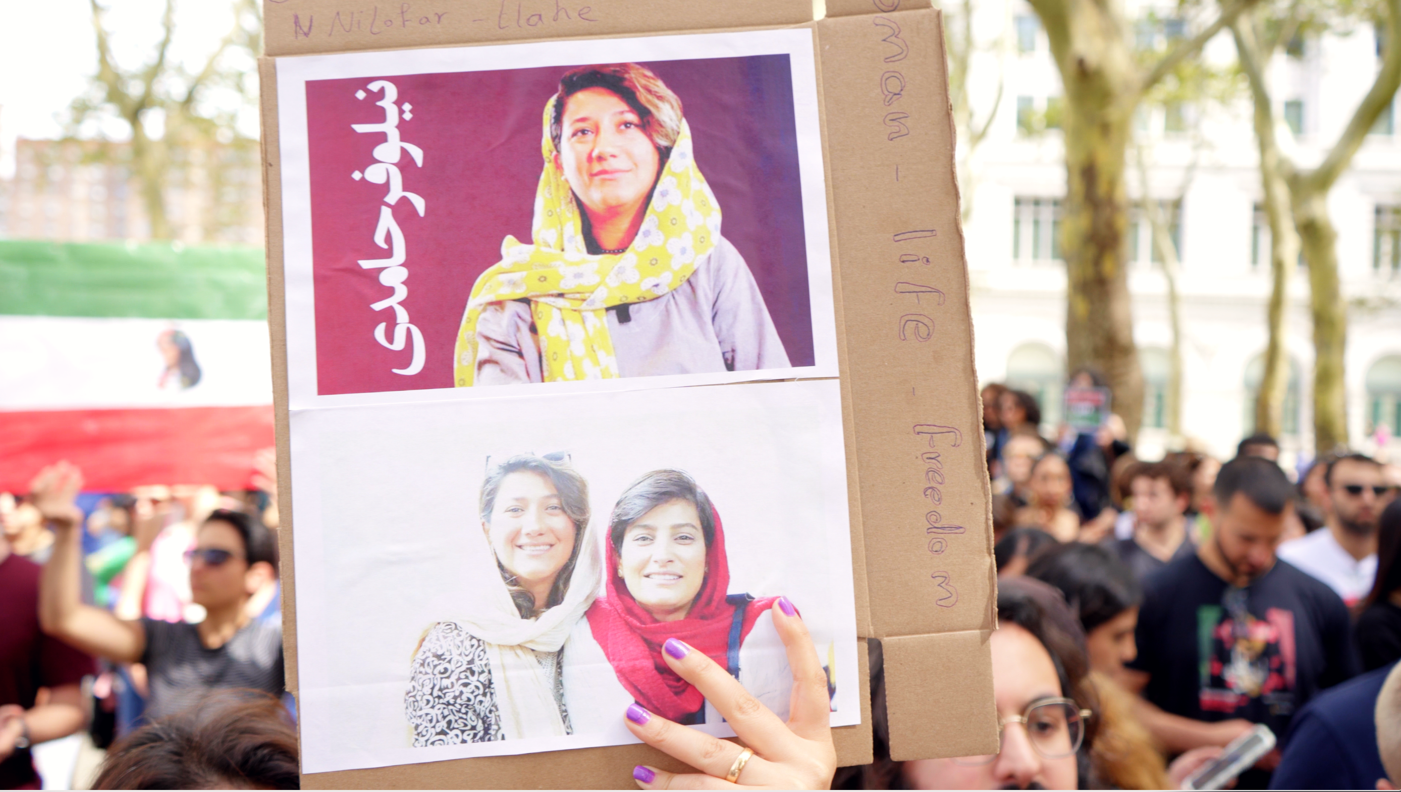 protest-sign-graded.png