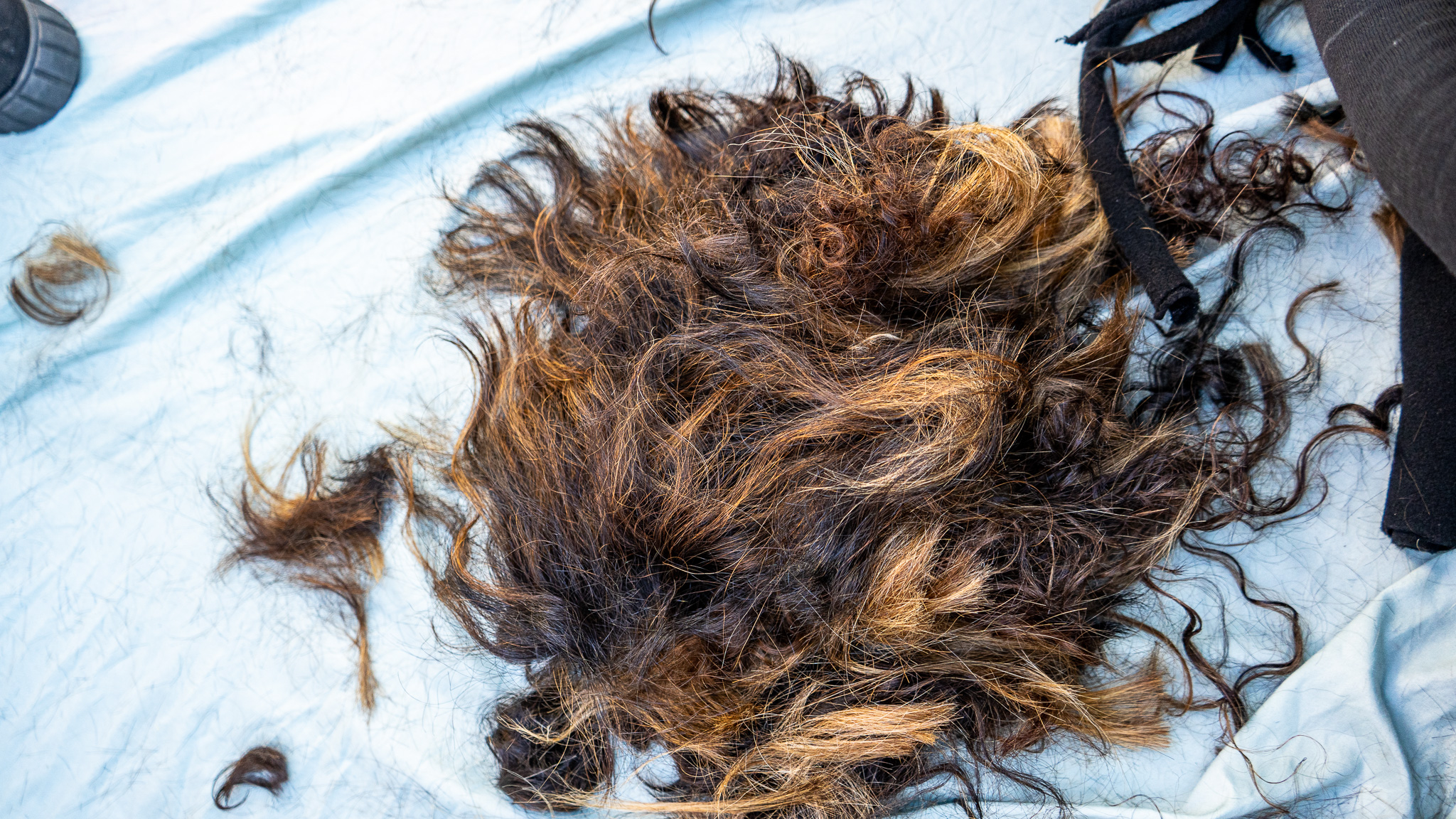 Washington Square Park Protest