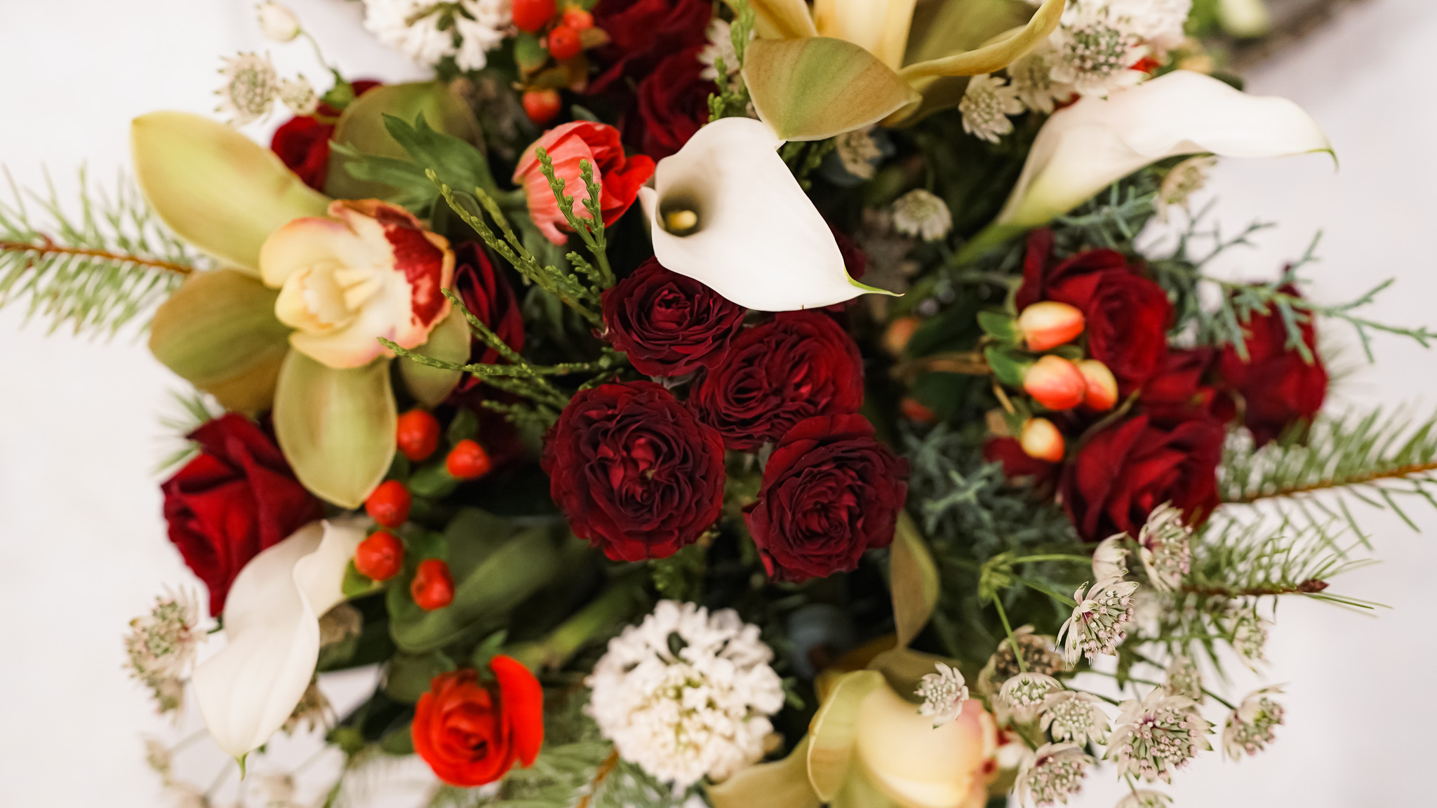 Cook for Iran Shabe Yalda Fundraiser