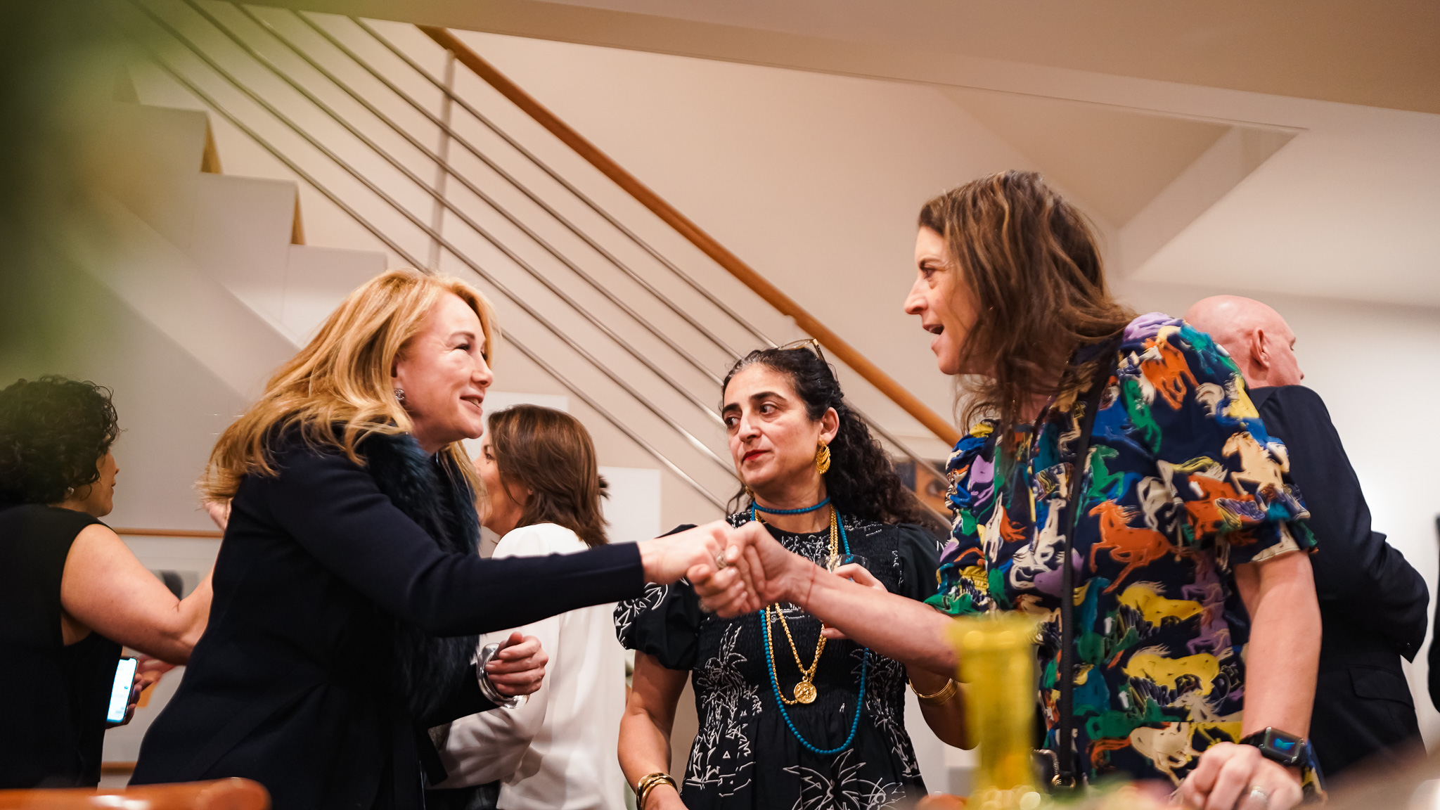 Cook for Iran Shabe Yalda Fundraiser