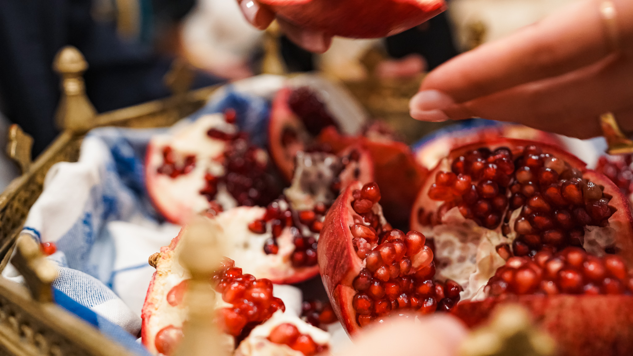 Cook for Iran Shabe Yalda Fundraiser