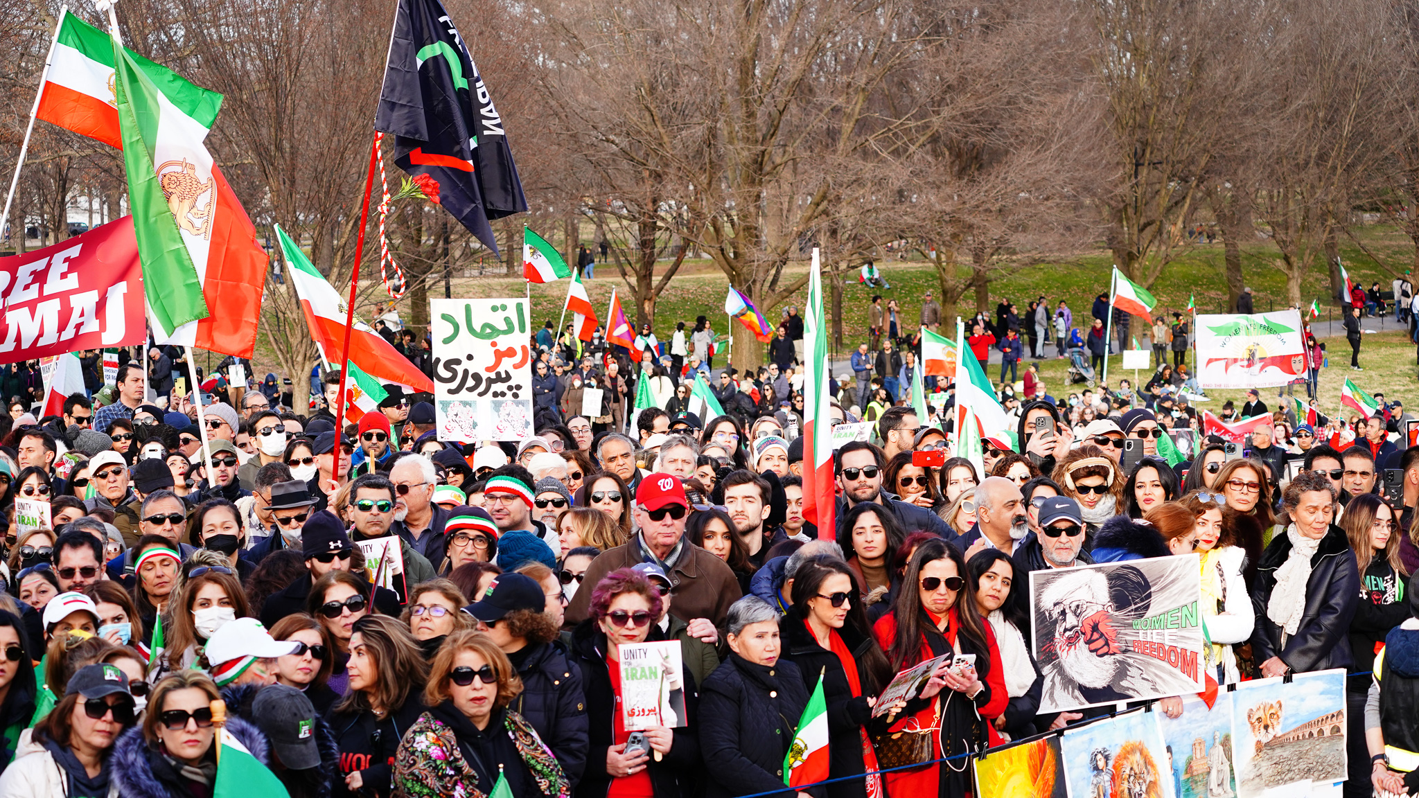 DC March To The Capitol 