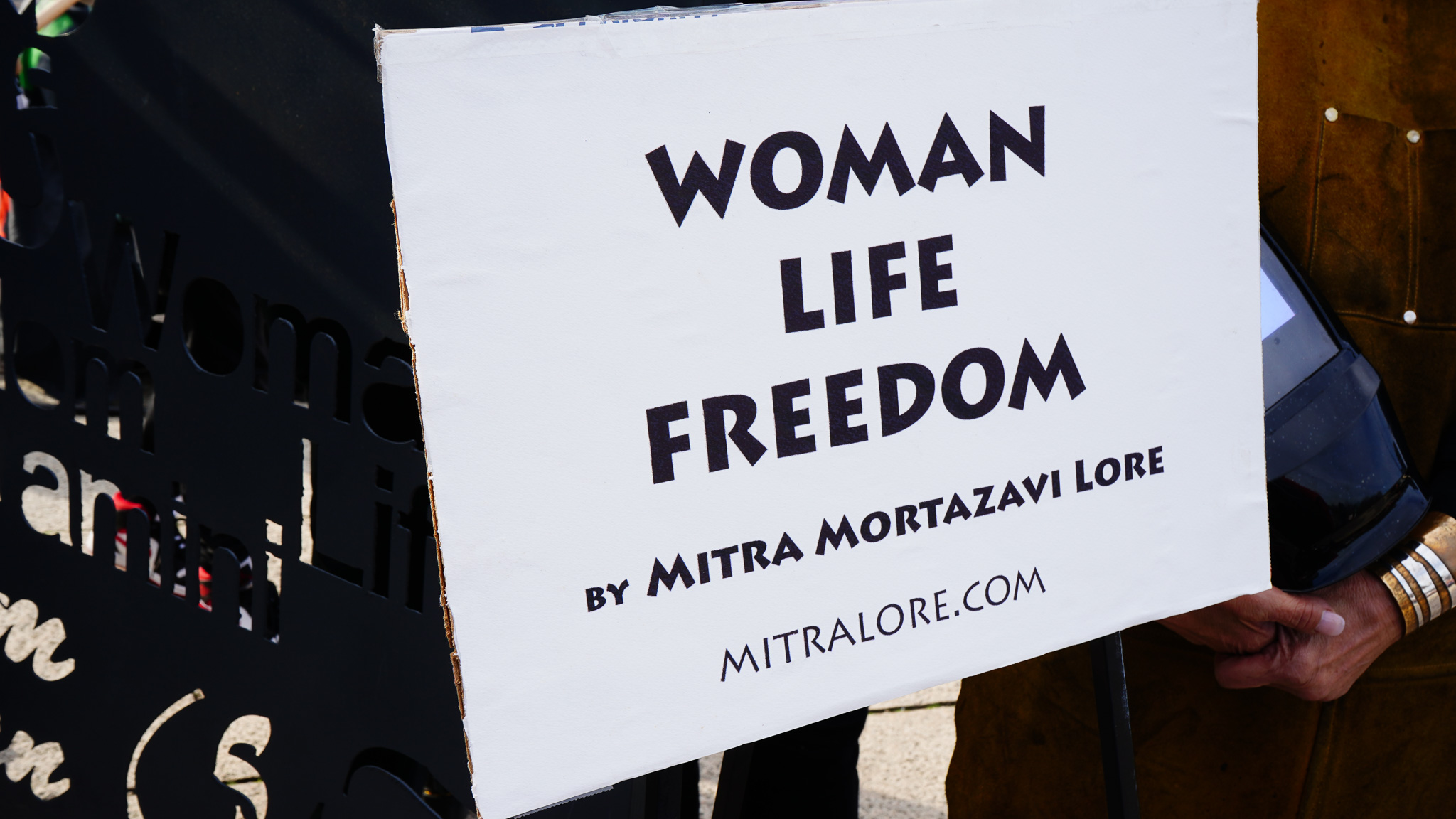 DC March To The Capitol 