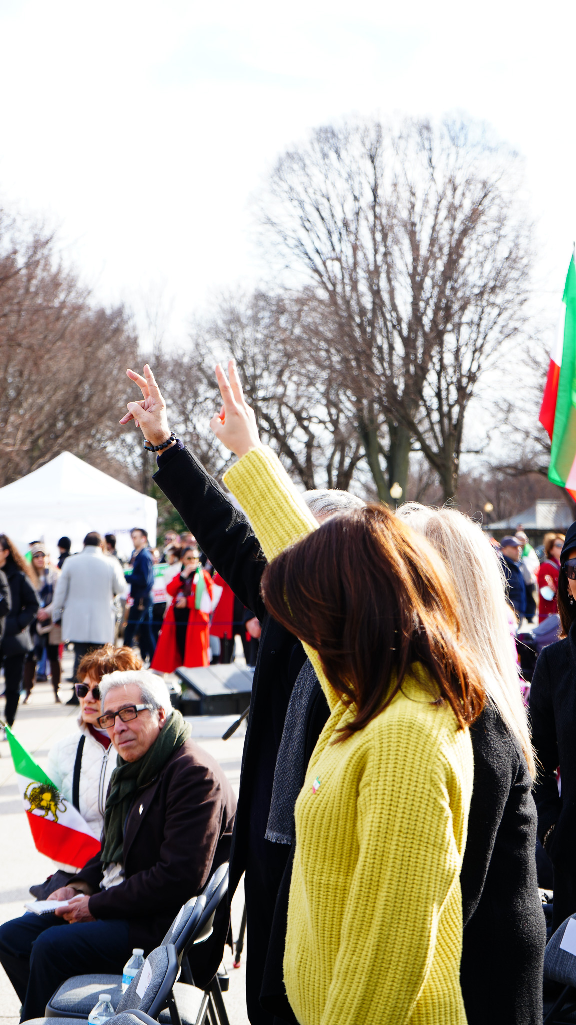 DC March To The Capitol 