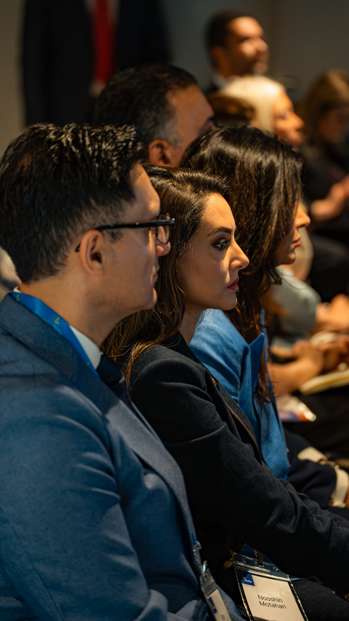 Iran Prosperity Project